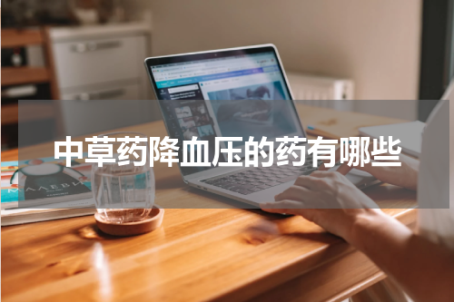 中草药降血压的药有哪些