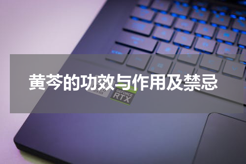 黄芩的功效与作用及禁忌