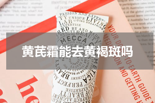 黄芪霜能去黄褐斑吗