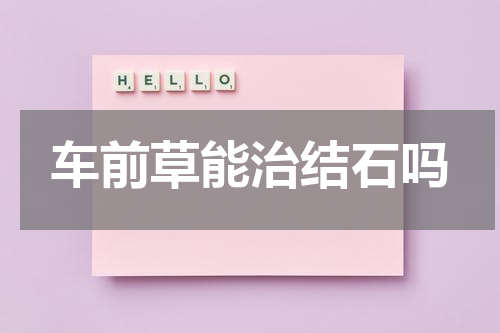 车前草能治结石吗