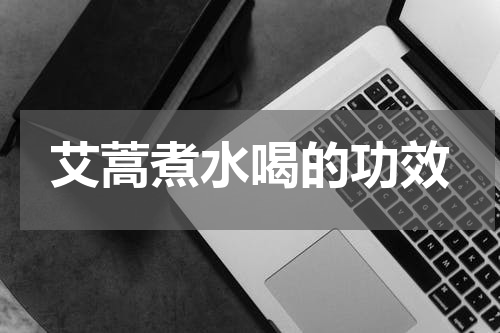 艾蒿煮水喝的功效