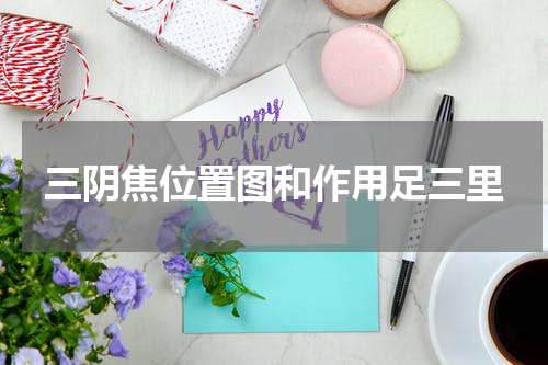 三阴焦位置图和作用足三里