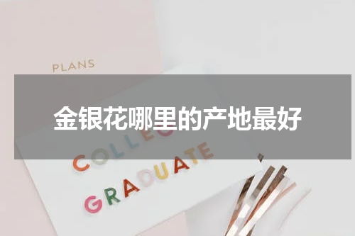 金银花哪里的产地最好