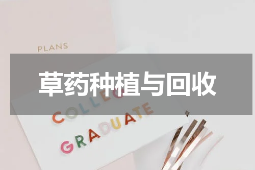 草药种植与回收
