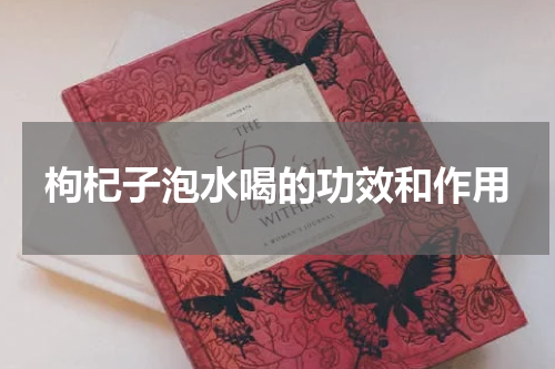 枸杞子泡水喝的功效和作用
