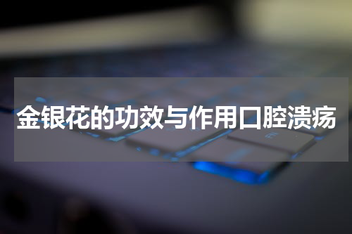 金银花的功效与作用口腔溃疡