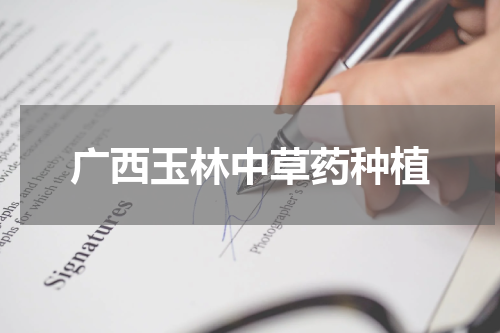 广西玉林中草药种植