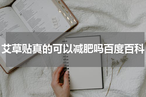 艾草贴真的可以减肥吗百度百科