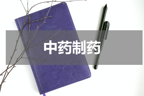 中药制药