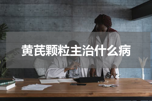 黄芪颗粒主治什么病