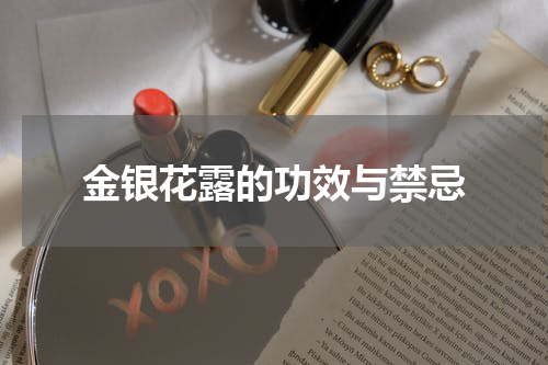 金银花露的功效与禁忌