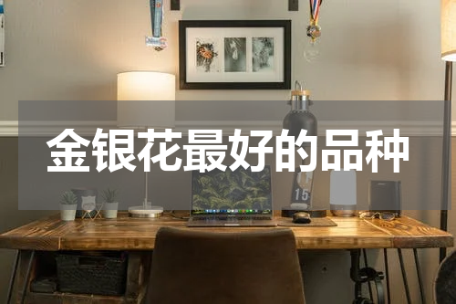 金银花最好的品种