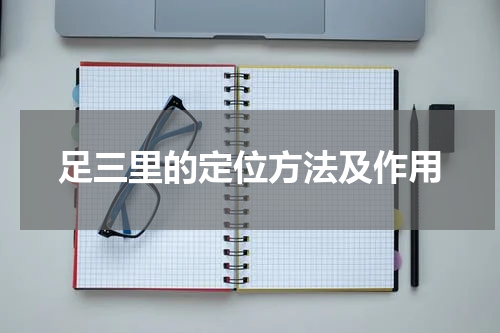 足三里的定位方法及作用