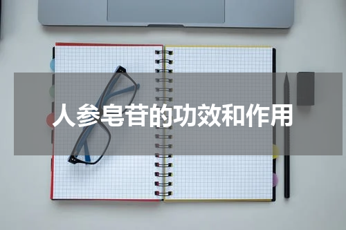 人参皂苷的功效和作用