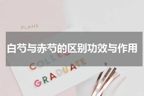 白芍与赤芍的区别功效与作用
