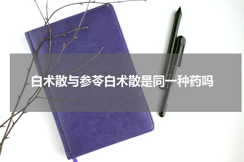 白术散与参苓白术散是同一种药吗