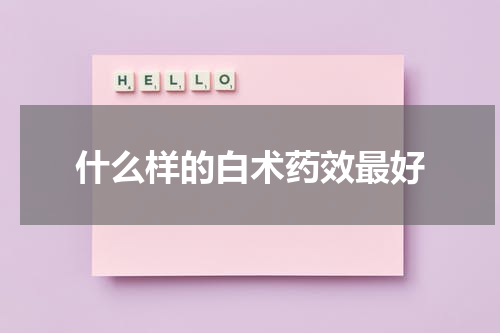 什么样的白术药效最好