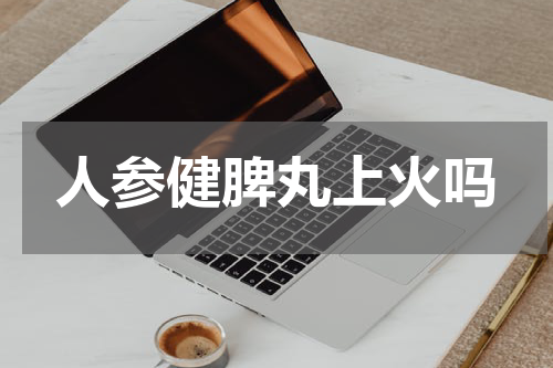 人参健脾丸上火吗