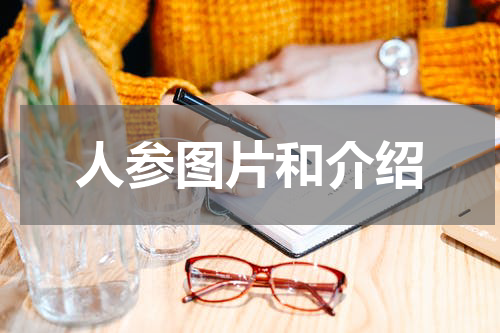 人参图片和介绍