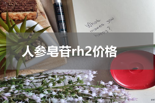 人参皂苷rh2价格