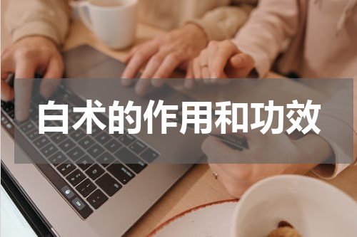 白术的作用和功效
