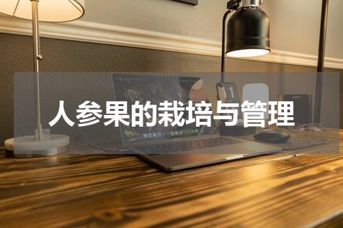 人参果的栽培与管理