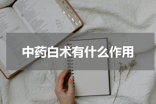 中药白术有什么作用