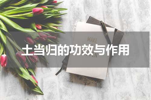 土当归的功效与作用