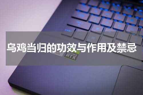 乌鸡当归的功效与作用及禁忌