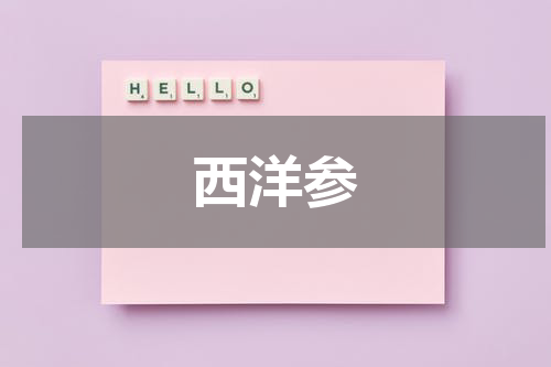 西洋参