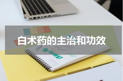 白术药的主治和功效