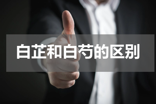 白芷和白芍的区别