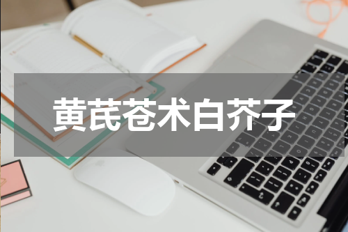 黄芪苍术白芥子