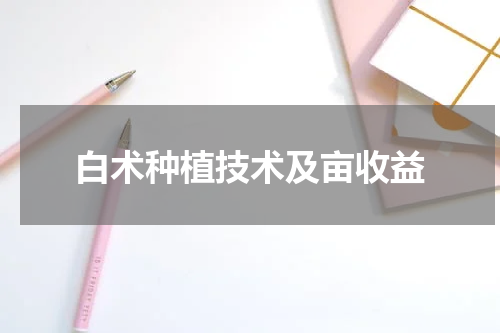 白术种植技术及亩收益
