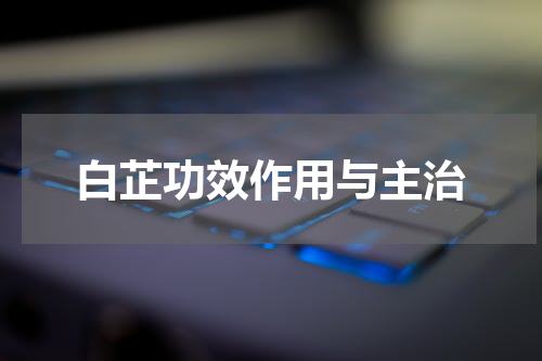 白芷功效作用与主治