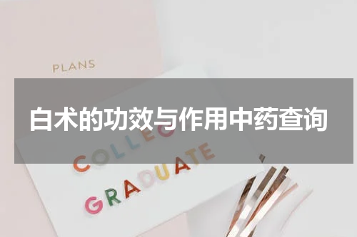 白术的功效与作用中药查询