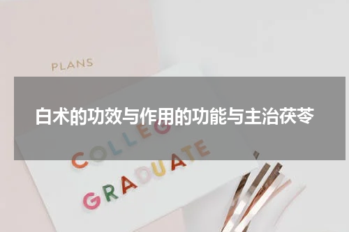 白术的功效与作用的功能与主治茯苓