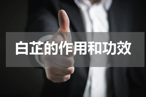 白芷的作用和功效