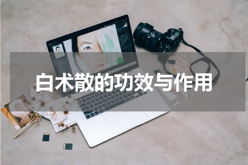 白术散的功效与作用