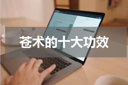 苍术的十大功效