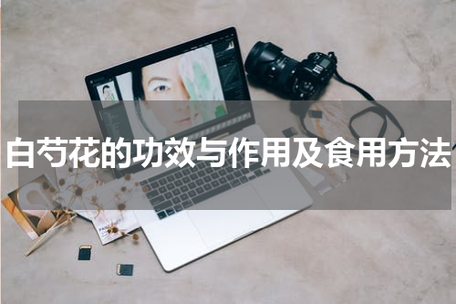 白芍花的功效与作用及食用方法