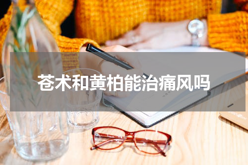 苍术和黄柏能治痛风吗