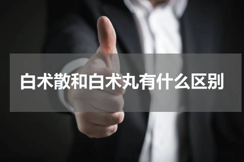 白术散和白术丸有什么区别
