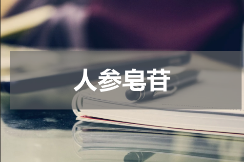 人参皂苷