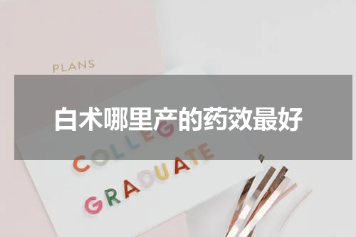白术哪里产的药效最好