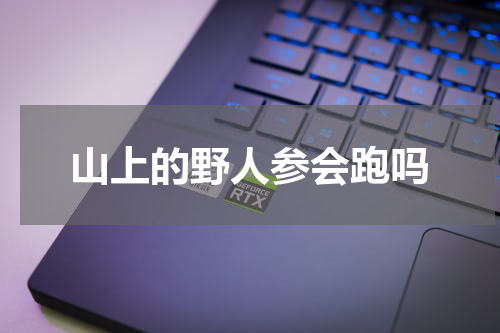 山上的野人参会跑吗
