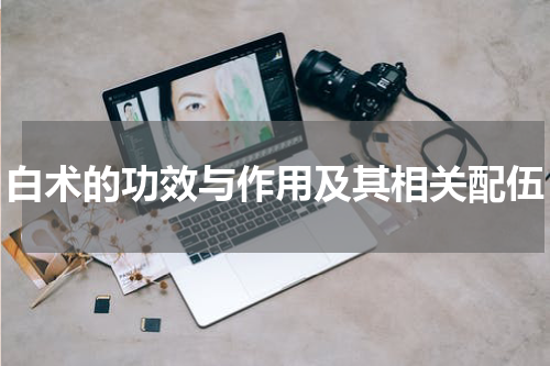 白术的功效与作用及其相关配伍