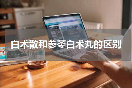 白术散和参苓白术丸的区别