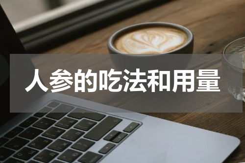 人参的吃法和用量