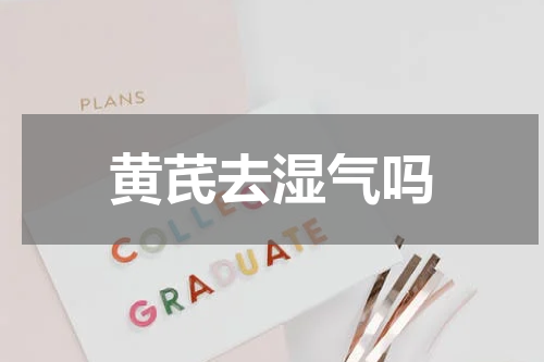 黄芪去湿气吗